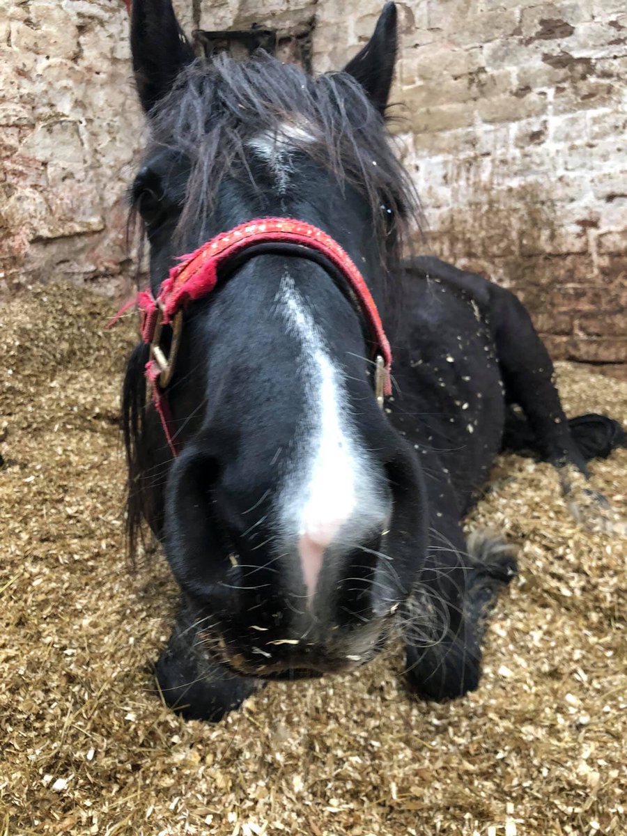 rubywabsy's tweet image. Just Patch