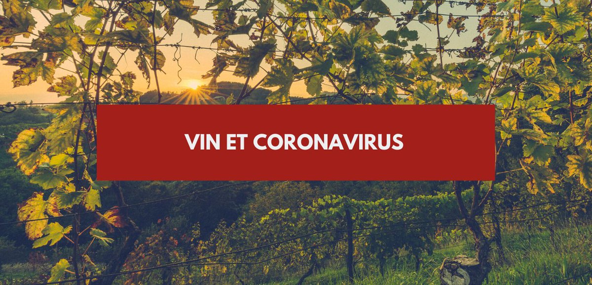 Vin_survin's tweet photo. Quel est l'impact du coronavirus sur la filière vin ? 🍷On fait le point dans cet article que nous mettrons à jour au fur et à mesure ! 
▶️ ▶️ https://t.co/oOdBnx5O3V ◀️ ◀️ 
- #Wine #CoronaVirus #Covid19 #CoronavirusFrance https://t.co/DKntEY548N