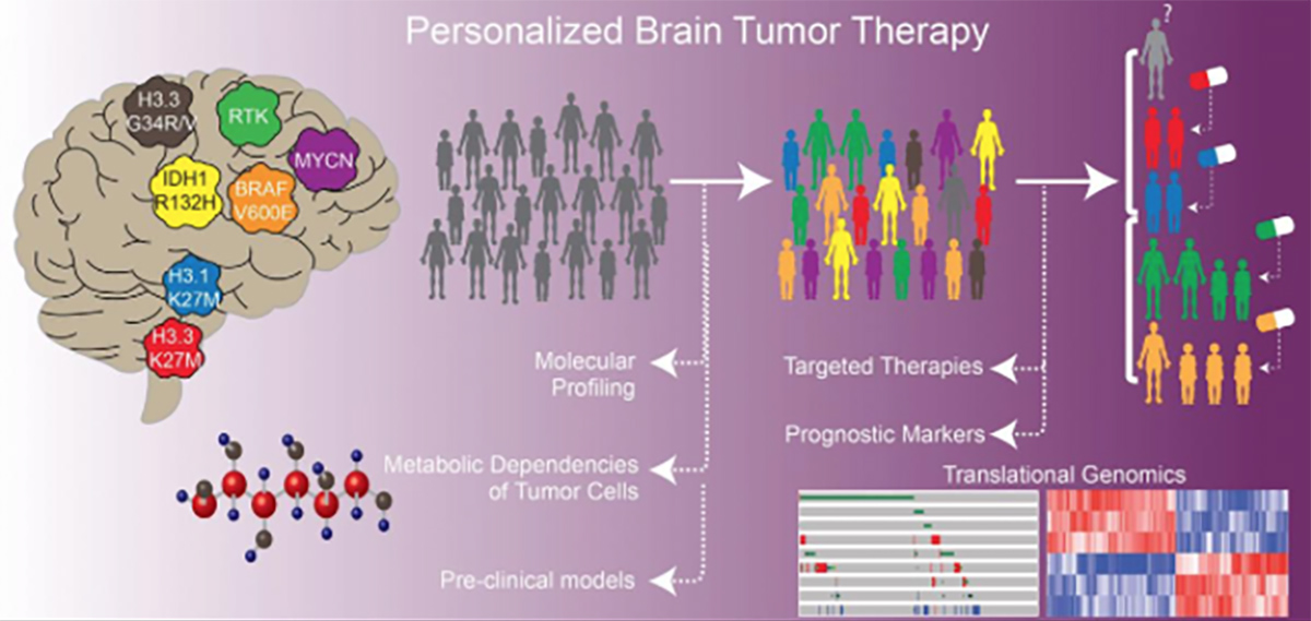 SPOTLIGHT: The University of Pittsburgh Brain Tumor Biology and Therapy Laboratory—under the direction of Sameer Agnihotri—studies pediatric and adult high-grade gliomas and diffuse intrinsic pontine gliomas. Read more at bit.ly/2vubupd. #brain #tumor #Cancer #research