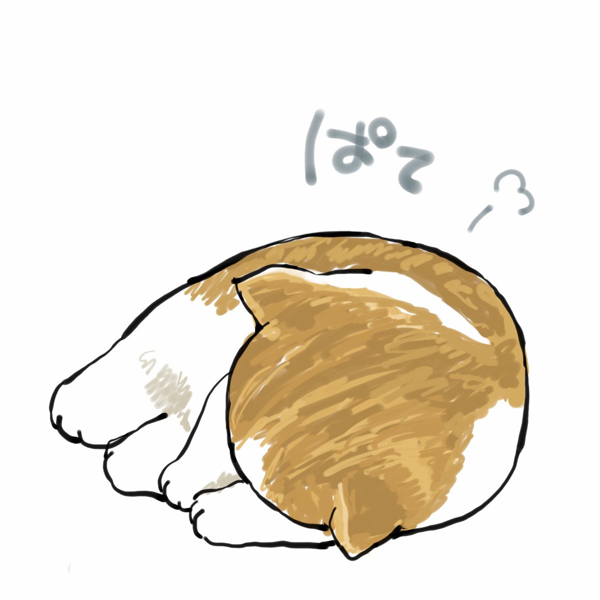 mofu_sand's tweet photo. #睡眠の日
寝ても寝ても眠いにゃんこ😪 https://t.co/x1NAUaZA1m