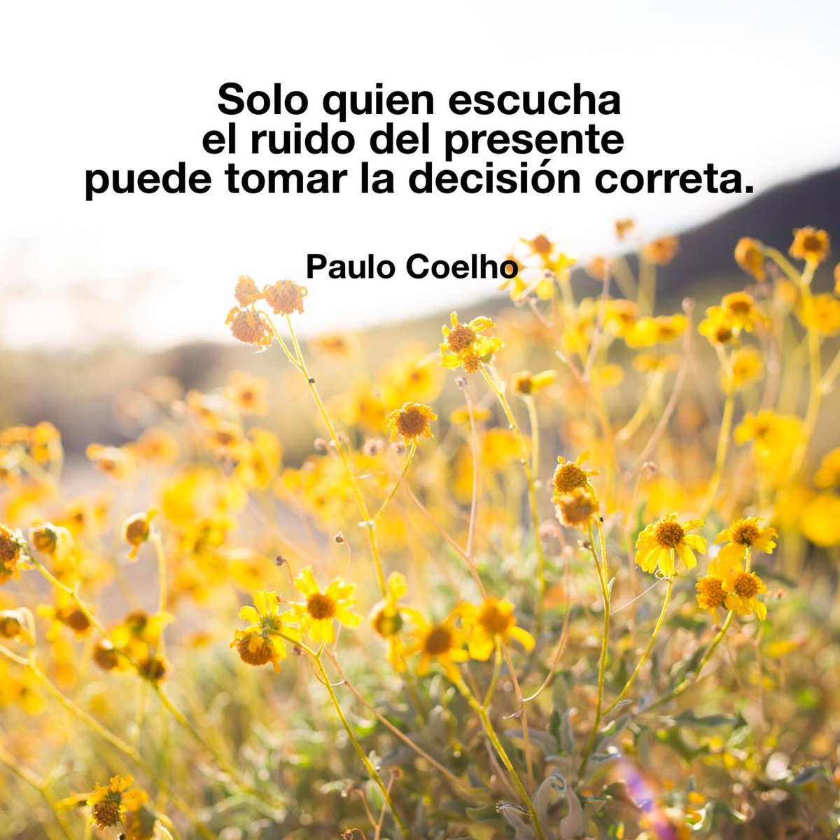 Comunidad Coelho on Twitter: 