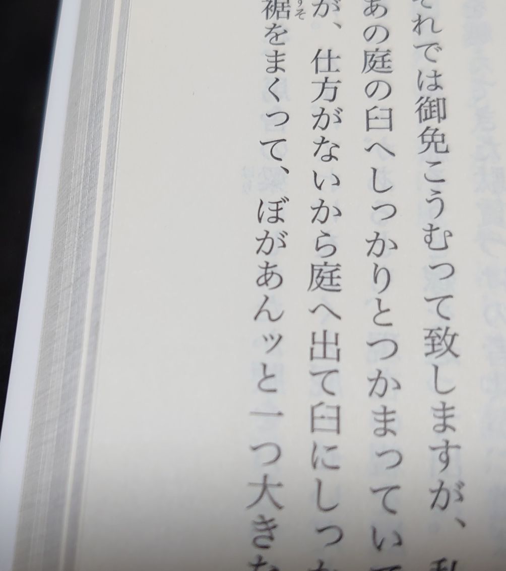 幣束 ぼがあんッ