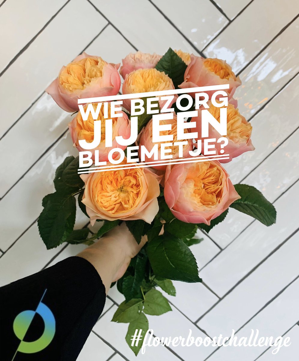 WorldHortiCentr's tweet image. Iedereen kan nu wel een hart onder de riem gebruiken. We dagen je uit om een bloemetje te (laten) bezorgen bij iemand die dit goed kan gebruiken! Je zorgt voor een lach, steunt de kweker en maakt de wereld een stukje mooier! Wie bezorg jij een bloemetje? 

#FlowerBoostChallenge
