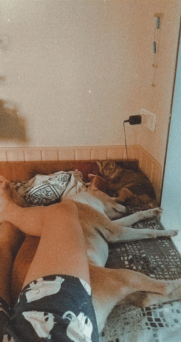 shasvathi's tweet photo. Social distancing at 3pm and 3.04pm
#lifewithanimals #QuarantineLife https://t.co/CsQhdjSbSd