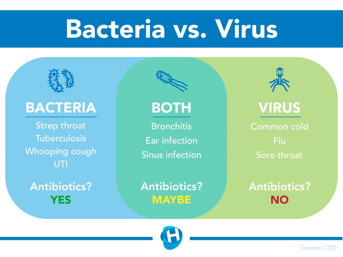 MrShortFHS_sci's tweet photo. scientific literacy is key to understanding any subject. Do you know the difference between a bacterium and a virus? #STEMempowerment or ... wait for it... #STEMpowerment !  #STEM https://t.co/xbMMmCpP7L