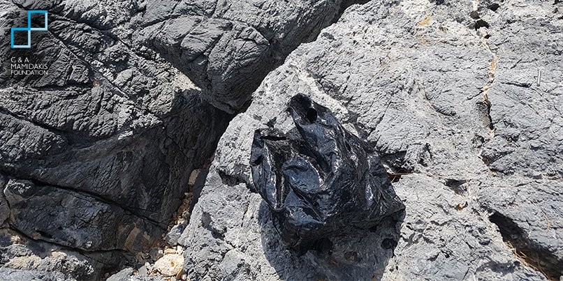 The exhibition “4 Cents: On Show for 500 Years” by Georgia Kotretsos, which was launched at the three-day festival blueFest Crete '18, addresses environmental issues, which are part of our everyday life. You can see photos of the exhibition here: bit.ly/3274cDE