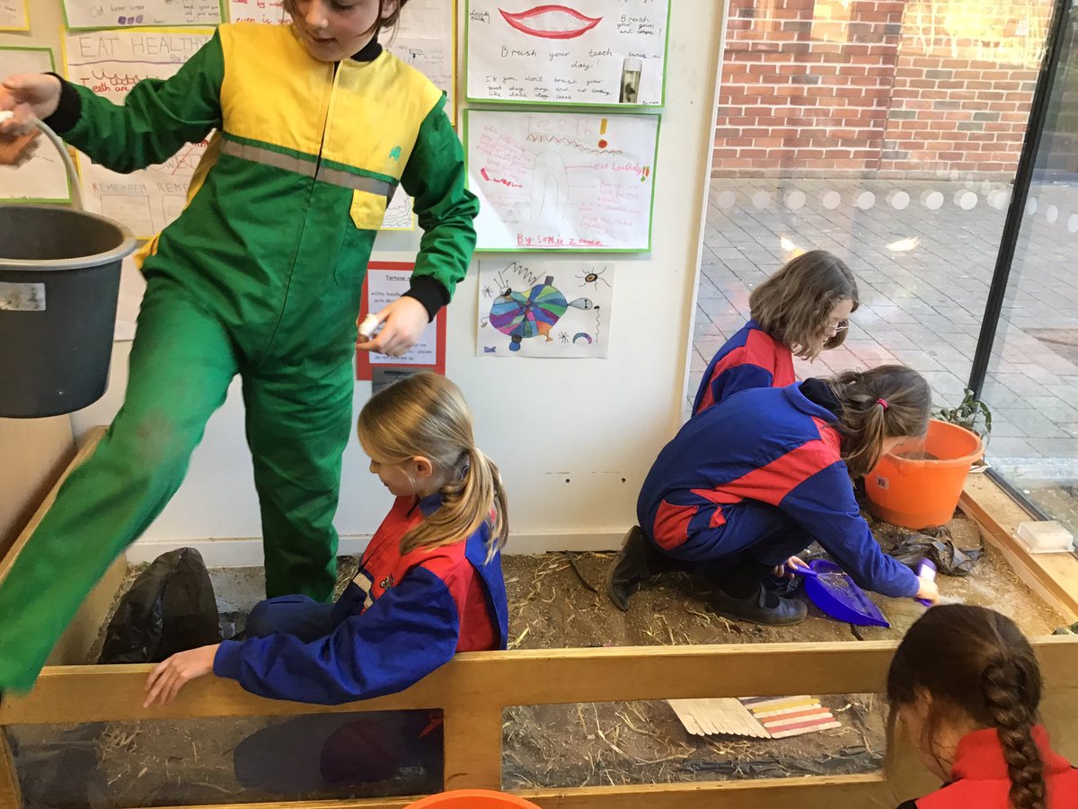 StSwithunsPSci's tweet photo. Science and Gardening Club were completing their designs for Tonka’s indoor enclosure this week and preparing to turn them into reality. Happy tortoise #StSwithunsScience #StSwithunsCreativity https://t.co/rhan8EquEH