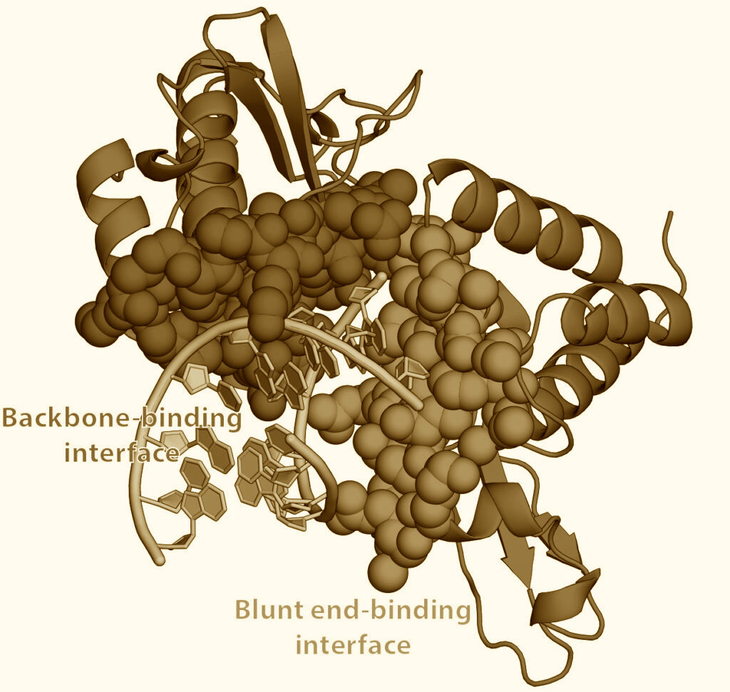 crowd_computing's tweet image. Donate your computer's time to .@foldingathome to study #COVID_19 virus. Power of #crowdcomputing primeurmagazine.com/flash/AE-PF-03…