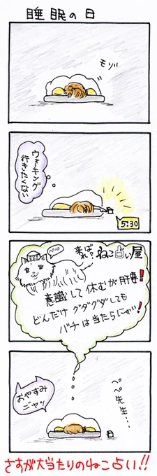 #四コマ漫画
#ねこ占い屋
#睡眠の日 