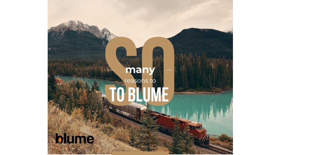 Blume_Life's tweet image. In the midst of chaos and fear, life does go on, and if your business or charity needs remote support then Blumers are available to help. Meanwhile take care and #WashYourHands. #workingfromhome #FlexFromHome #CoronaVirusChallenge #COVID2019 #covid19UK #remotework