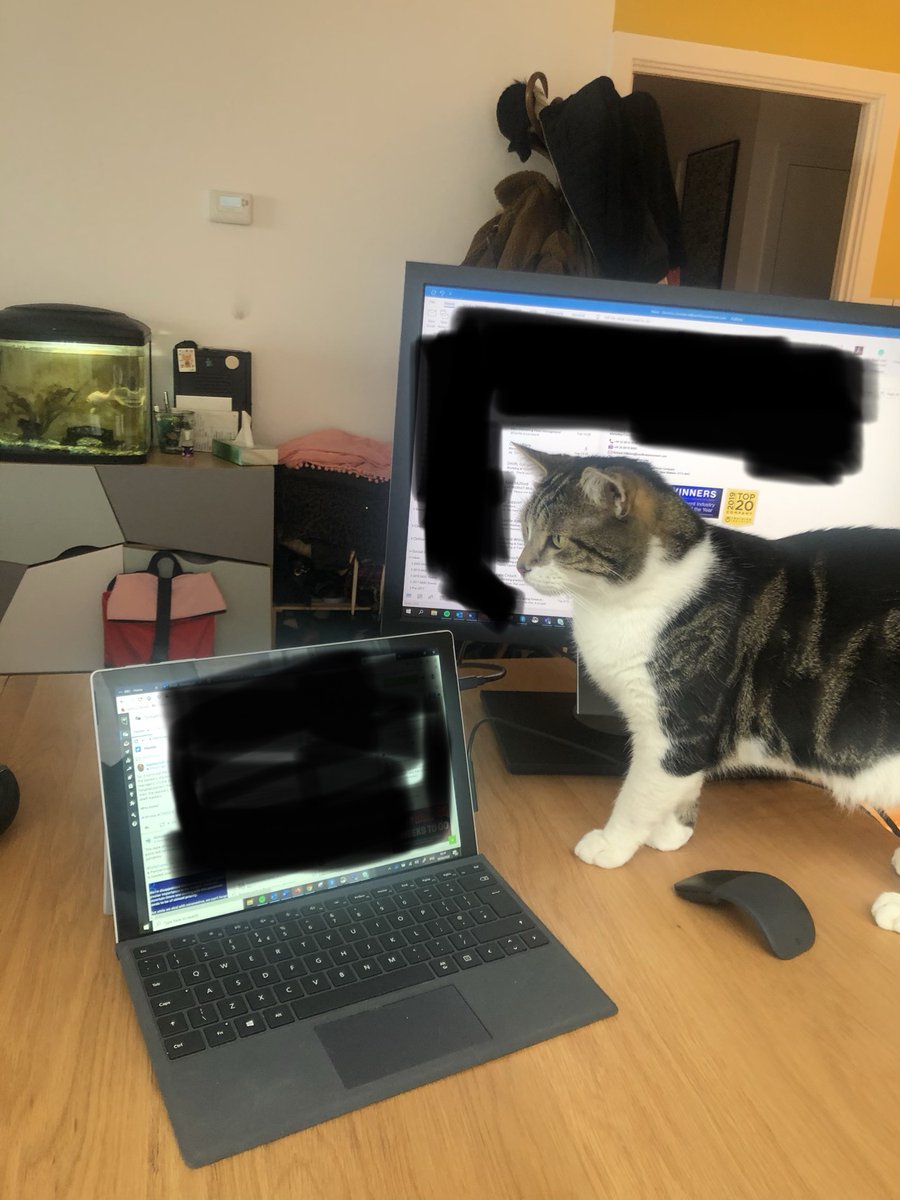 Saville Assessment tweet media