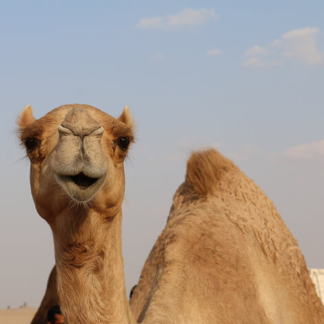 TheDeliExpress1's tweet photo. Wednesday blessings! We're over the hump and heading down the other side #Wednesday https://t.co/iD5I6SNP0R