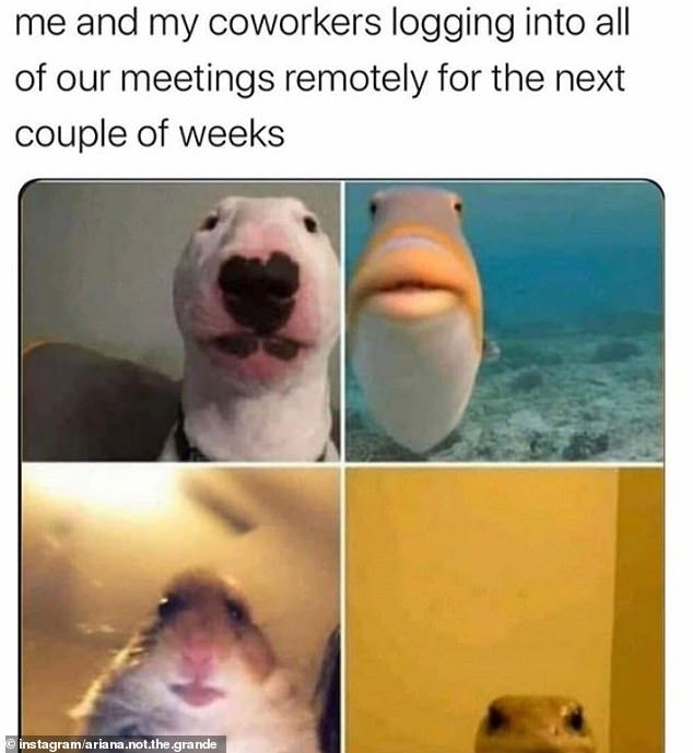 mphcreative's tweet photo. Some light comedy relief, I think we all need
👉 #digitalmarketing #Remoteworking #COVID19 https://t.co/draELwfWaK