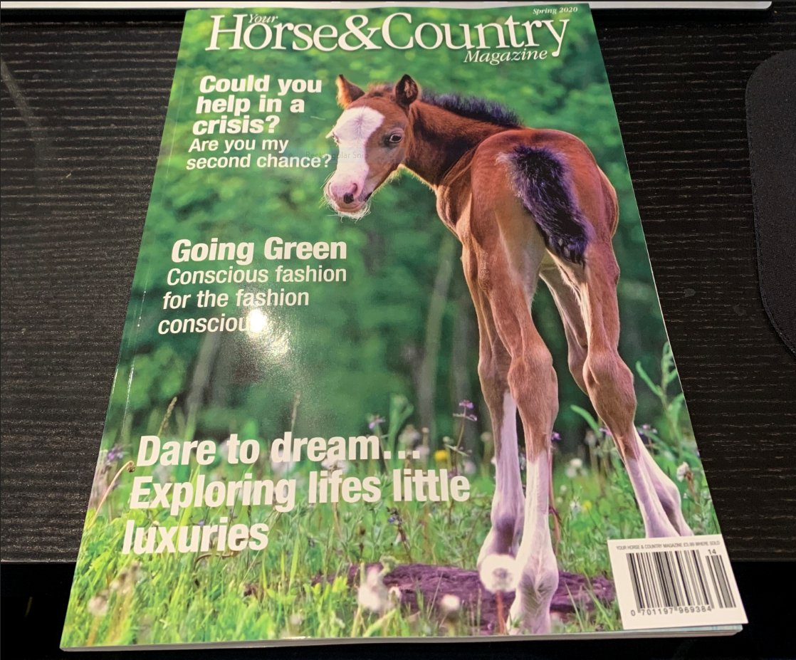 Check out our advert in the latest issue of Horse and Country Magazine, we're very happy with how it came out and we're excited for people to finally see it! Let us know if you find it!