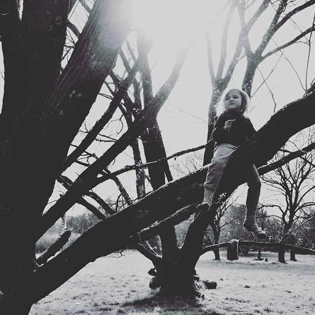 Kelly Mill tweet media