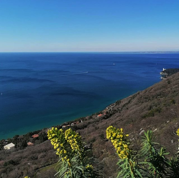 DiscoverTrieste's tweet photo. #Trieste in tutta la sua bellezza dalla strada Napoleonica

📸 IG ph. https://t.co/oebl1Xt0C3

#PaesaggiDaCartolina https://t.co/kSK2Gt3lXh