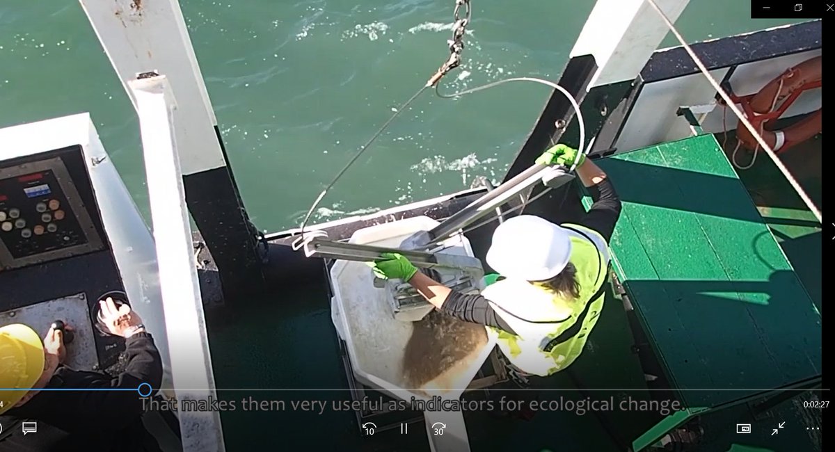 GEANS (@geans_interreg) on Twitter photo Video launch!!! <a href="/NorthSeaRegion/">North Sea Region</a> project GEANS aims to monitor seabeds in the North Sea more accurately and efficiently by DNA barcoding. youtu.be/6PiEHCmoNUc #NorthSea #eDNA #monitoring Video launch!!! <a href="/NorthSeaRegion/">North Sea Region</a> project GEANS aims to monitor seabeds in the North Sea more accurately and efficiently by DNA barcoding. youtu.be/6PiEHCmoNUc #NorthSea #eDNA #monitoring