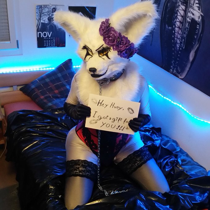 Hey, Fenfen want to do a raffle ❤️ I will take a custom pic of me holding a cute message with kisses<a href="/tag/furry"class="tags"><span>#furry</span></a><a href="/tag/murrsuit"class="tags"><span>#murrsuit</span></a>