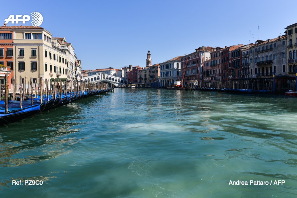 afpfr's tweet photo. À Venise, les eaux  deviennent claires, suite à l'arrêt du trafic de bateaux, qui ne remuent plus les fonds vaseux #AFP @AFPphoto par Andrea Pattaro https://t.co/NuTOV6KIyw