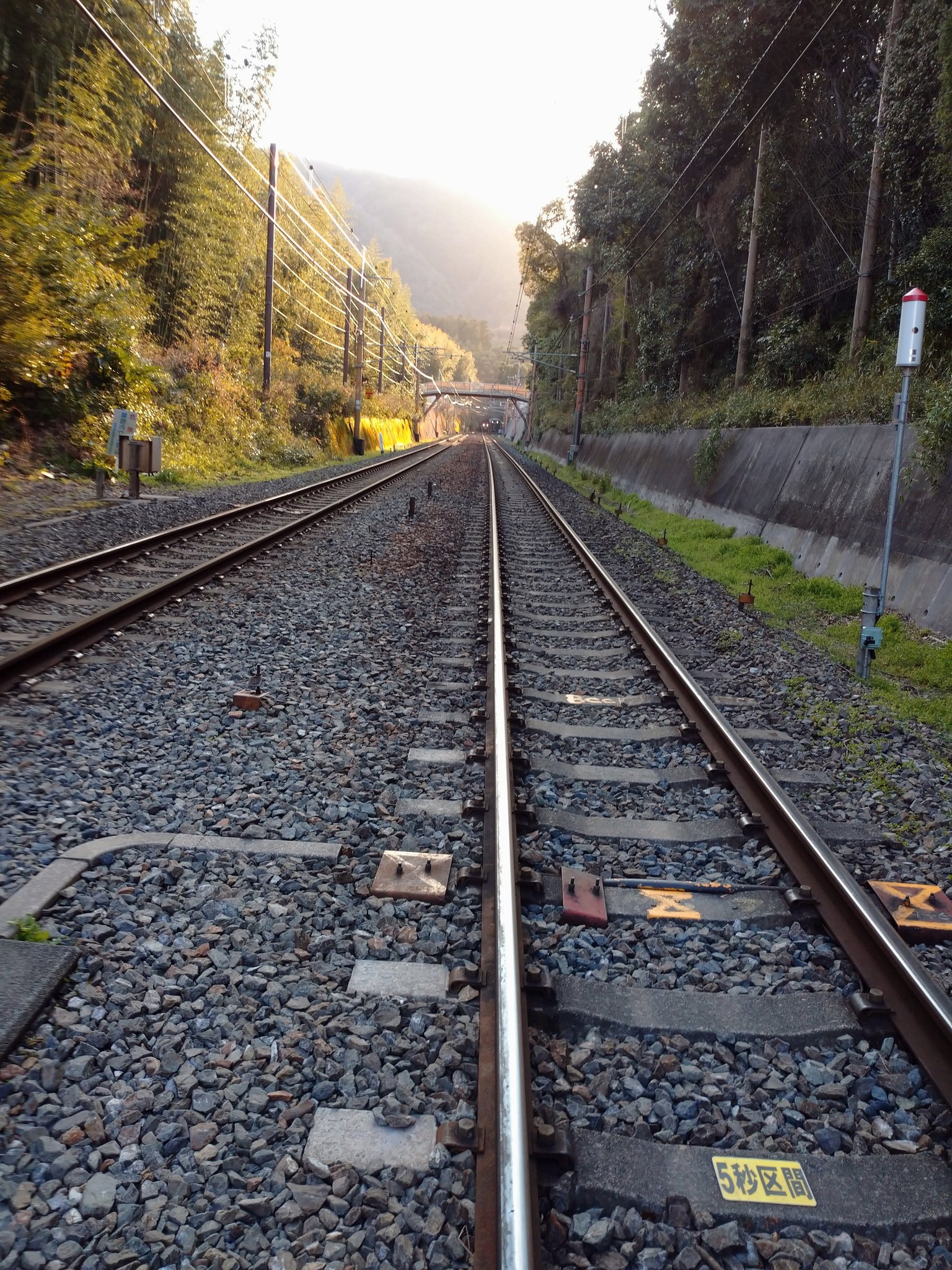 松本伊予　線路  / X