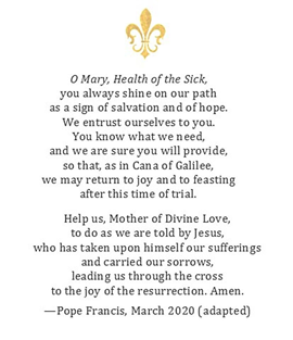 GuerinPrep's tweet photo. Jesus, my wounds are deep and many. Help me to experience your mercy and rest in your healing presence.
Amen.
#DailyPrayer #GuerinPrep https://t.co/hwERZf0Cn8