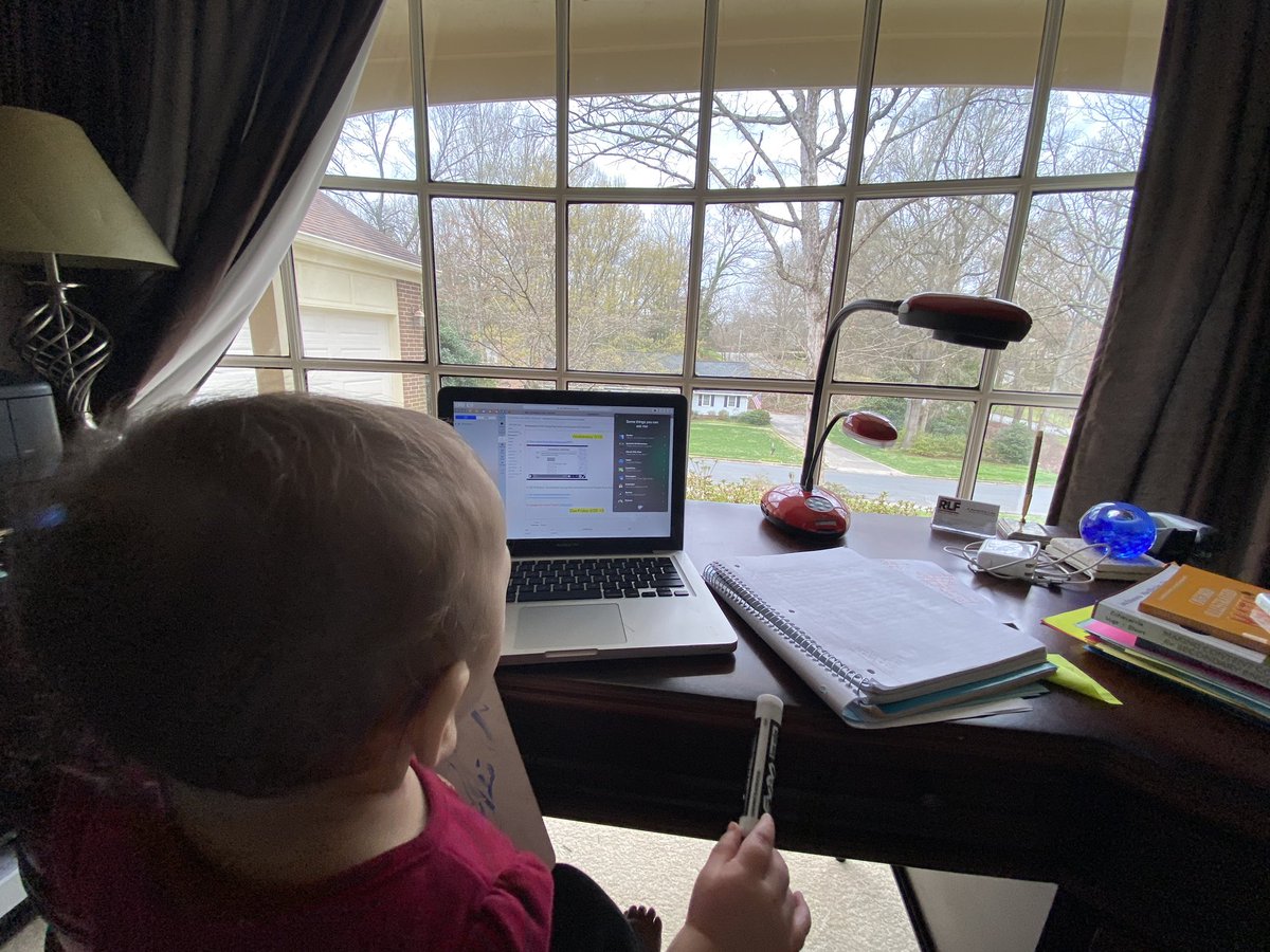 Christina Rary tweet media