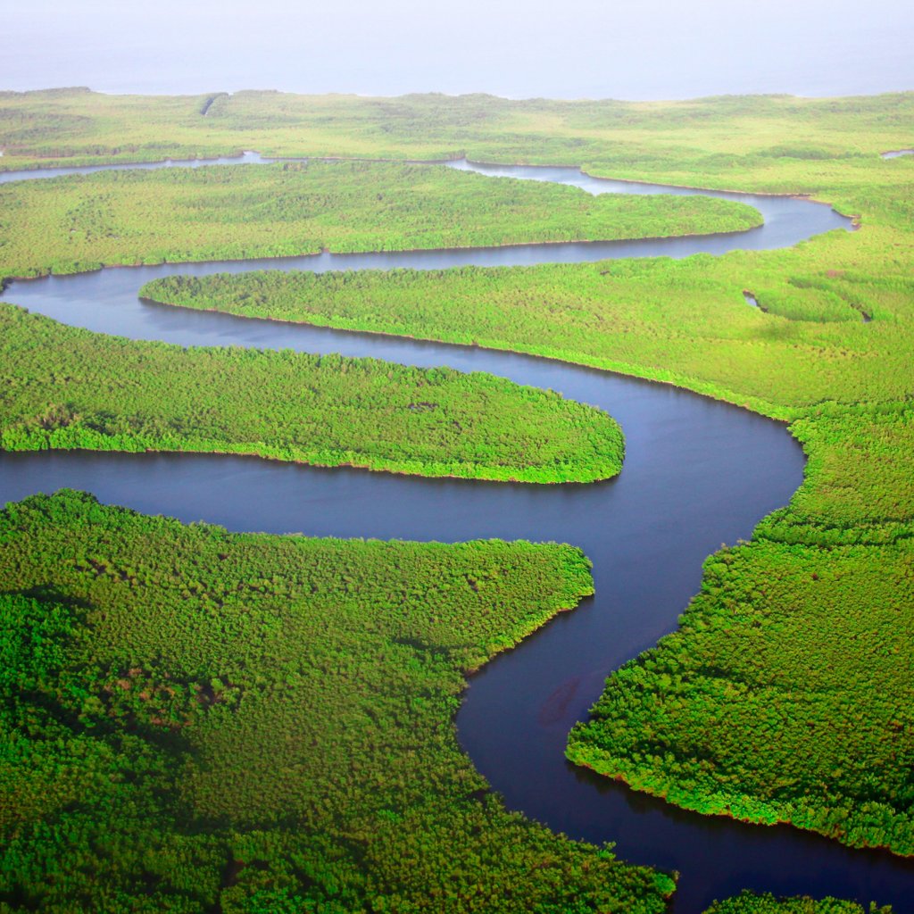 skratchworld's tweet photo. Flowing 1120 km to the Atlantic Ocean, the Gambia River defines the landscapes and livelihoods of the people of Gambia 🎋 Have you visited the smiling coast of West Africa? ☺️🇬🇲 @visitthegambia
#Gambia #Skratch #scratchmap #travelblogger #wanderlust https://t.co/PmzYSVZvhs