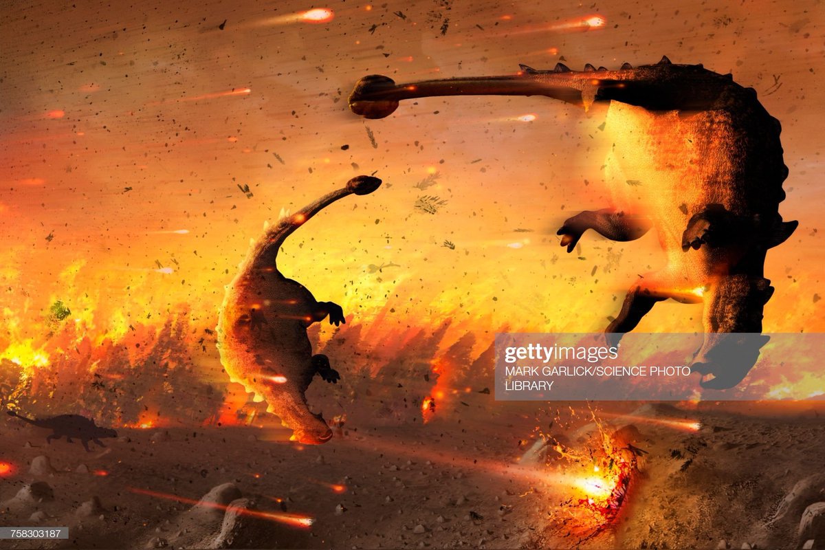 Squimpus tweet media