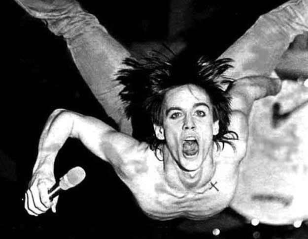 MusicTAP در توییتر: «Rumor: 7CD Iggy Pop Box, The Bowie Years, and 2CD Editions of The Idiot, Lust for Life: https://t.co/4VAQMS1Zrq https://t.co/qnjRNxSwmD»