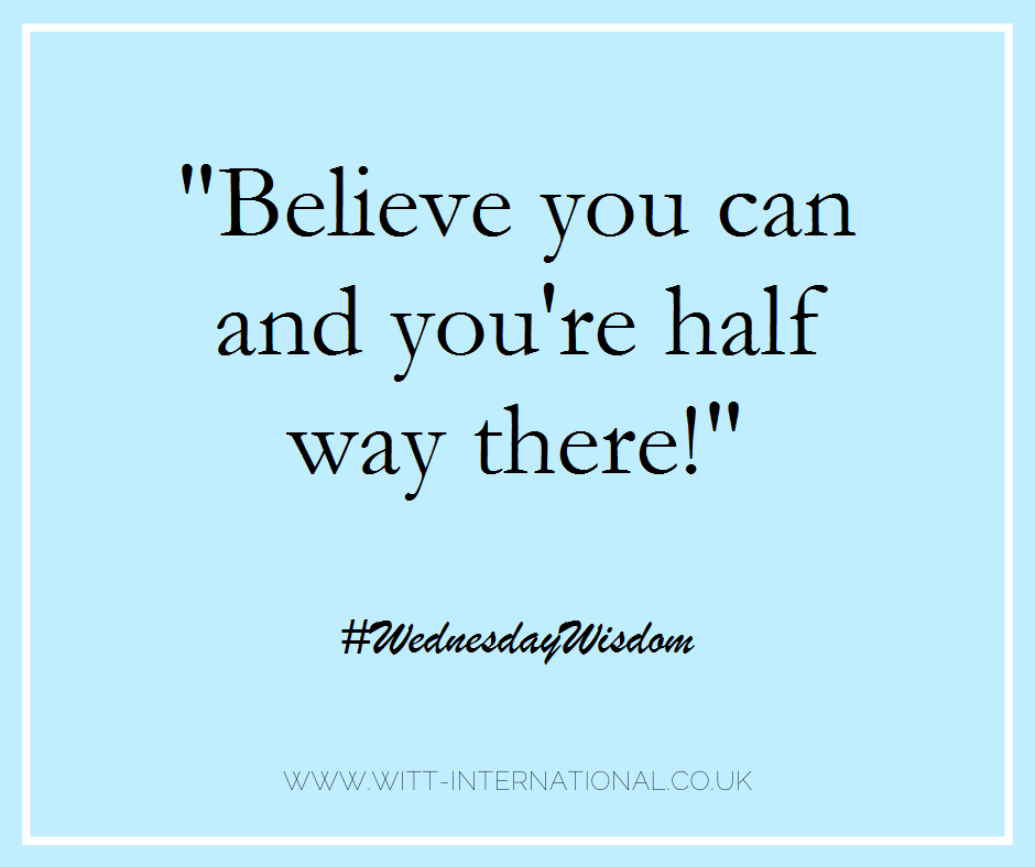 witt international jumpers