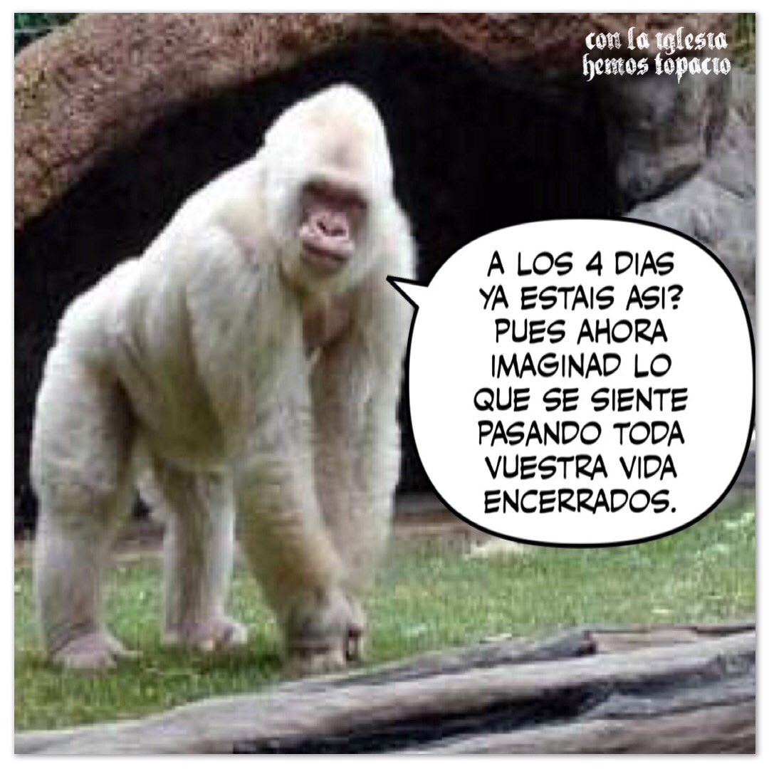 HemosTopacio's tweet photo. #AQueJode https://t.co/e5AOfwfyO5