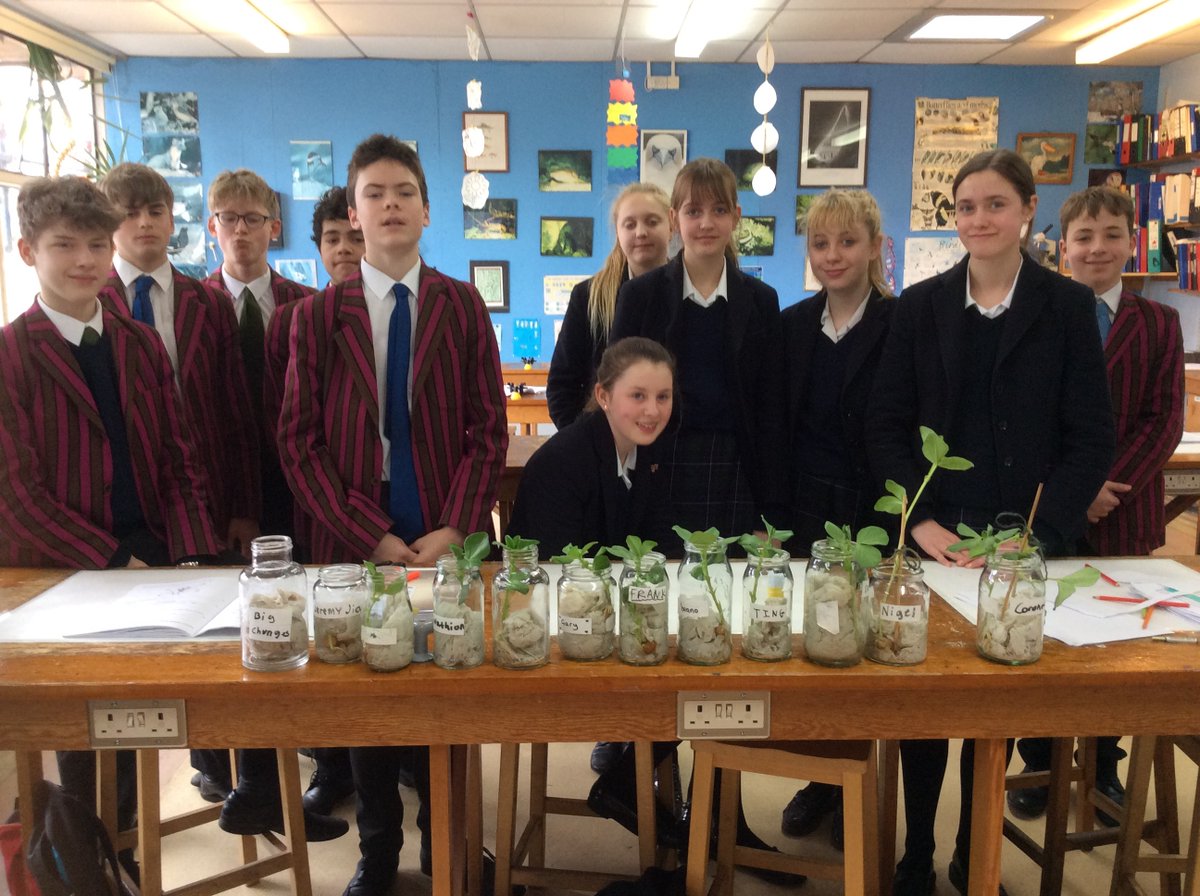 FettesLearn's tweet photo. Our 3rd Form Biology students have been growing seeds this term as part of their Reproduction in Plants topic 🌱

Well done everyone (a special mention goes to Romain for some extra special results) 👏👏

#FettesCollege #FettesLearning https://t.co/hVr3IlEf2x
