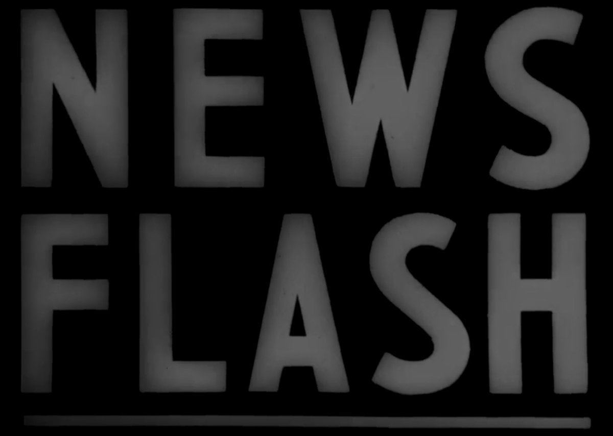 Dimitra DeFotis tweet media