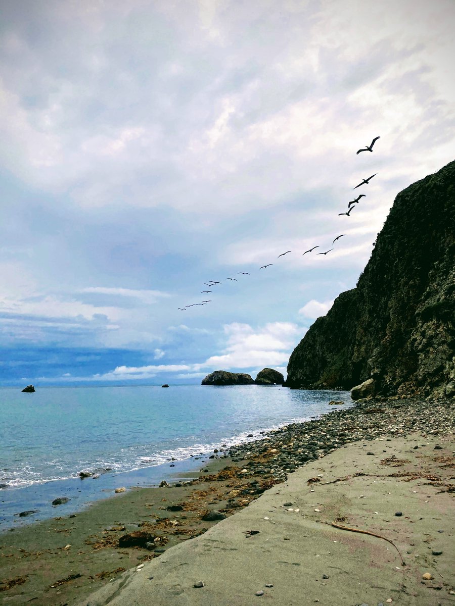 IslandKayaking.com tweet media