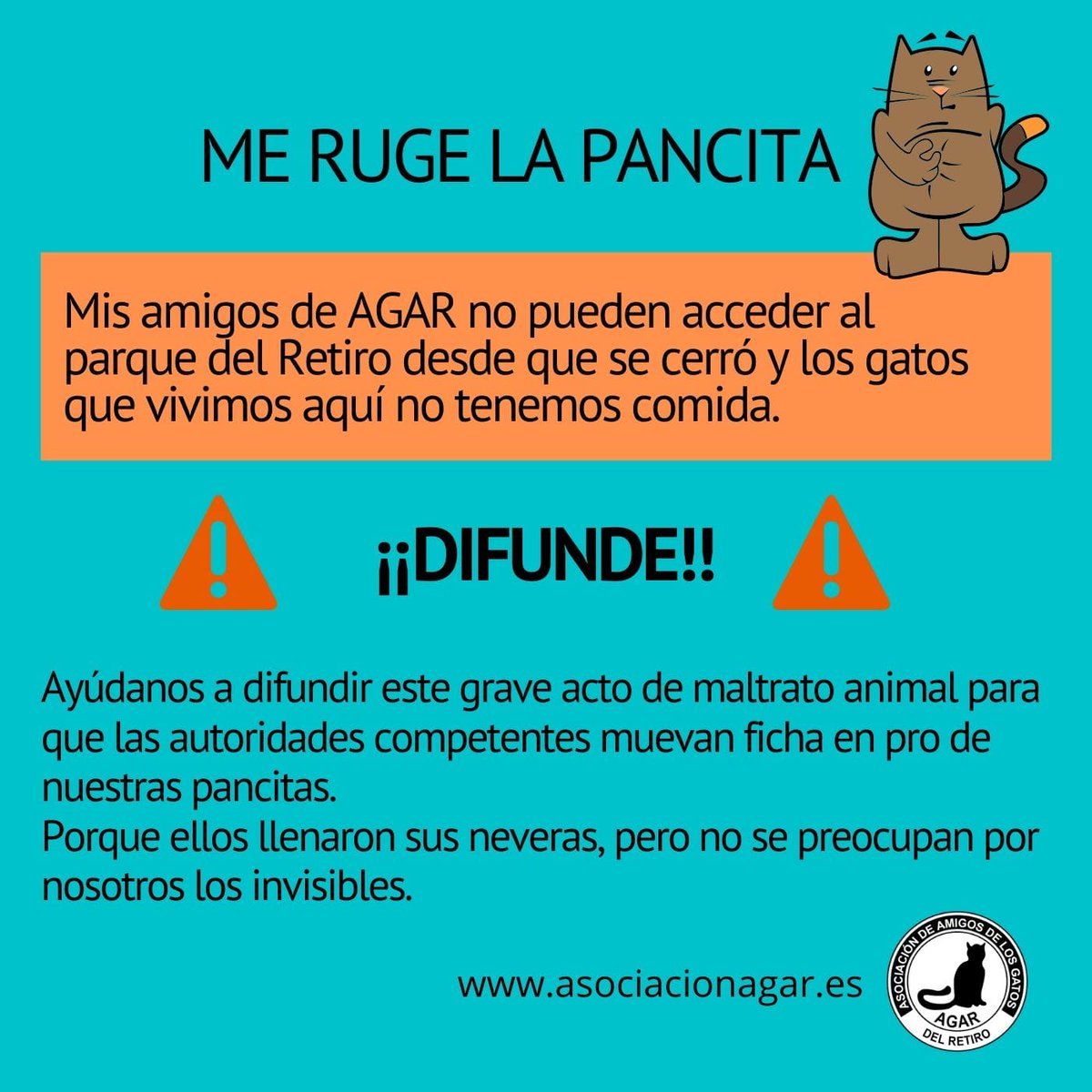 ProtectoraAgar's tweet photo. Los gatitos del parque necesitan que sigan siendo alimentados! Las autoridades deben permitir el acceso a las protectoras en el Retiro, ellos deben alimentarse diariamente... 😔😔

Ayuda a difundir por favor!📢 https://t.co/DTvQPBg5r9