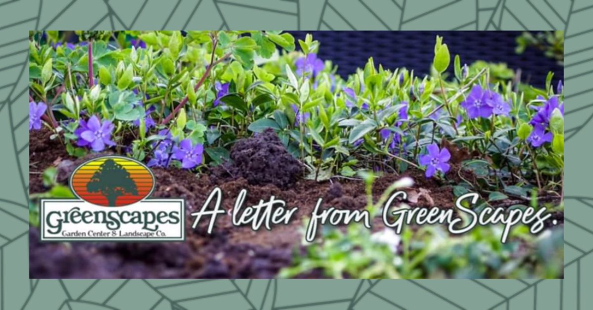 GreenScapes tweet media