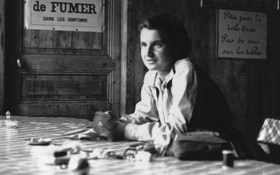 Hoy en #mujeresparalahistoria homenajeamos a Rosalind Franklin. Fue una química y cristalógrafa inglesa. Con su trabajo pudo clarificarse la estructura de doble hélice del ADN, vital para la comprensión de la vida.
#juntosllegamosmaslejos #talentofemenino #santaluciacandidatos