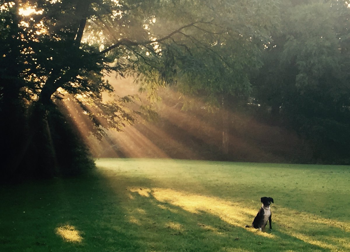 We've put together a list of ideas and resources that you might find useful at the moment independentthinking.co.uk/blog/posts/202… Let us know what else we should add won't you #YouAreNotAlone