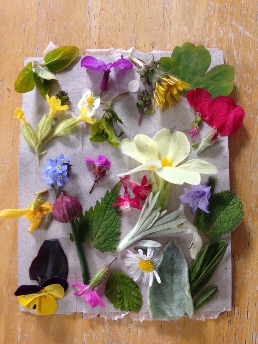 Ideas for families to do at home at times of isolation. soniamain.wordpress.com/2020/03/18/ide…