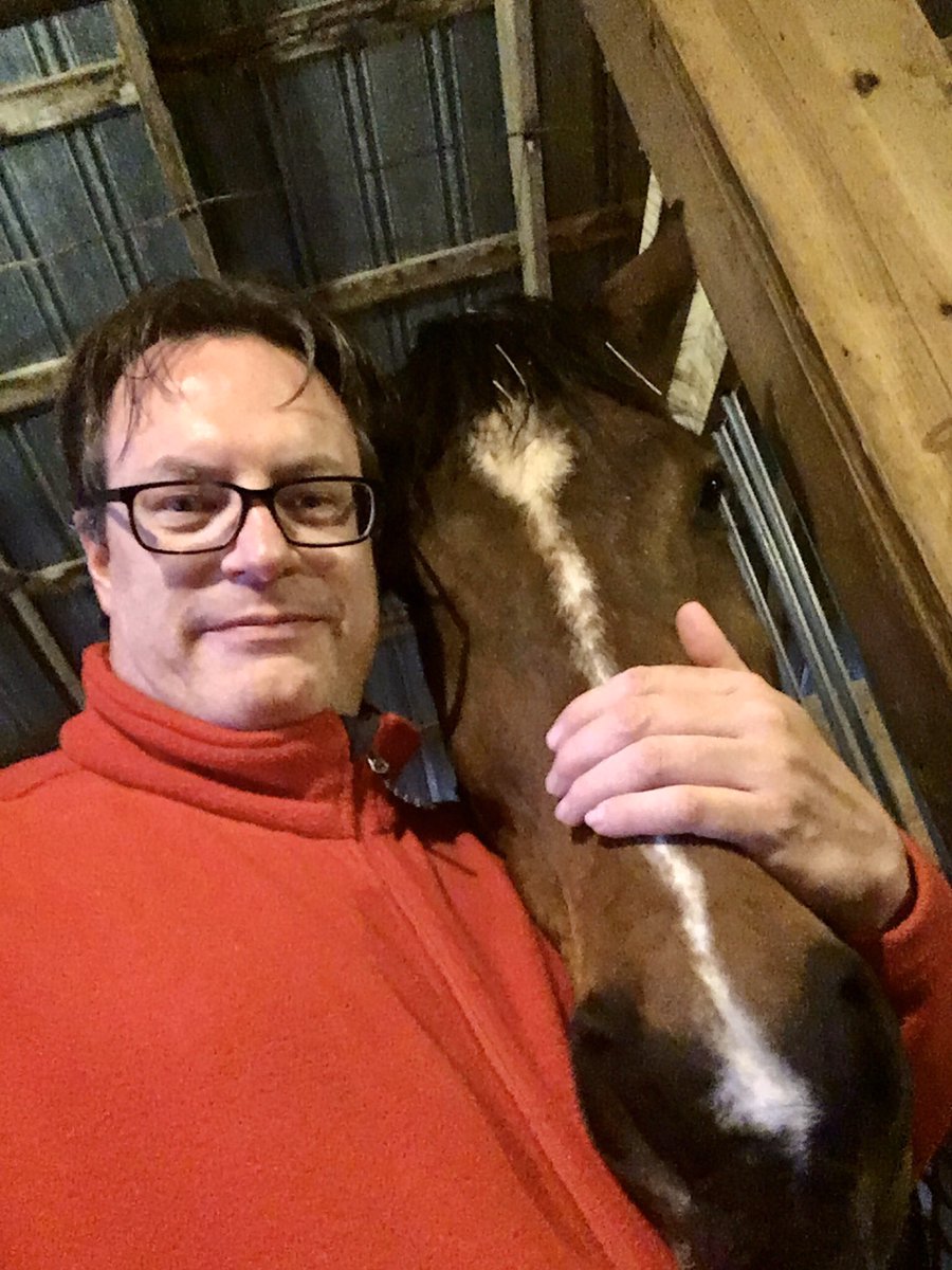 fishingpipe's tweet photo. Monti is a big boy. I’m 6’7” and feel small when he stands up tall. He loves to cuddle. Especially if I have carrots! #Thoroughbred #17hands https://t.co/4bVm3NoqYg