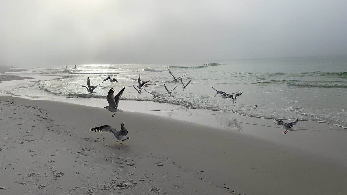 Glowing58's tweet photo. #takemeaway #justaweekago #rayoflight58 #lockeddown #coronavirus https://t.co/ckNrmJcj6d