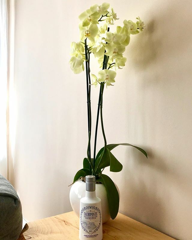 🇪🇸Ahí la tienes @floresentuensalada! A por el día campeona.
🇬🇧Here you have @floresentuensalada! ift.tt/2TYPqMP