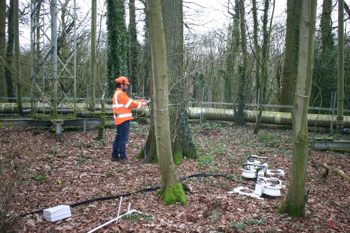 ECT_UK's tweet photo. ECT's March newsletter just published after a busy quarter! Access it here via the archive on our website & please RT: https://t.co/eCRTGzlGSB #LTER #ecology #ClimateChange #environment #grassland #scicomm #DroughtNet #biodiversity #heathland #woodland #peatland #ecosystems https://t.co/tfYCvzW20V
