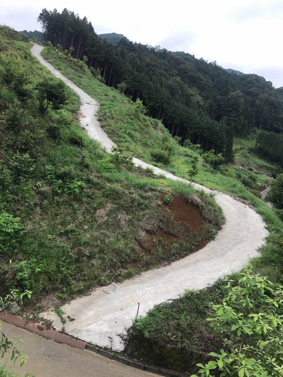 四条ハミィ Sur Twitter 秋山の厳道峠裏手辺りの笑えてくる斜度 狭さのヘンな坂が懐かしいです ご無沙汰過ぎて此処への行き方も忘れたけど
