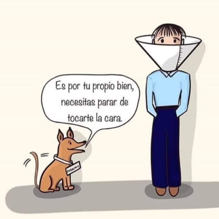 creer_ong's tweet photo. ¡Lindo miércoles a todos! ☺️
CUIDENSE, cuidémonos entre todos

ONG CREER https://t.co/sK32aMkaUg