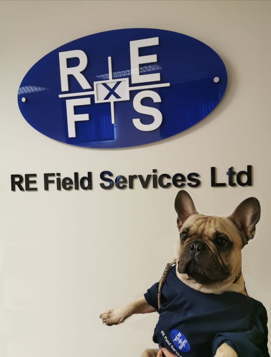 The REFS team are keeping 'Pawsitive' in these difficult times!