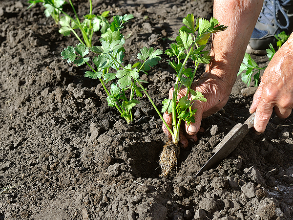 National Ag Day is the perfect time to thank American farmers for all they provide for us. On March 24, and every day, let’s celebrate how food brings everyone to the table. Find out more at agday.org.

#AgDay20