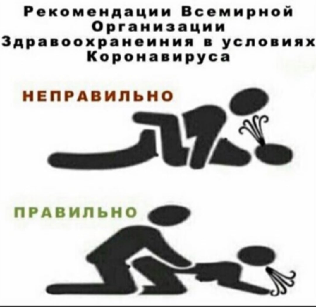 Екатерина Кот (@hpc9ul4fvp92pza) on Twitter photo 