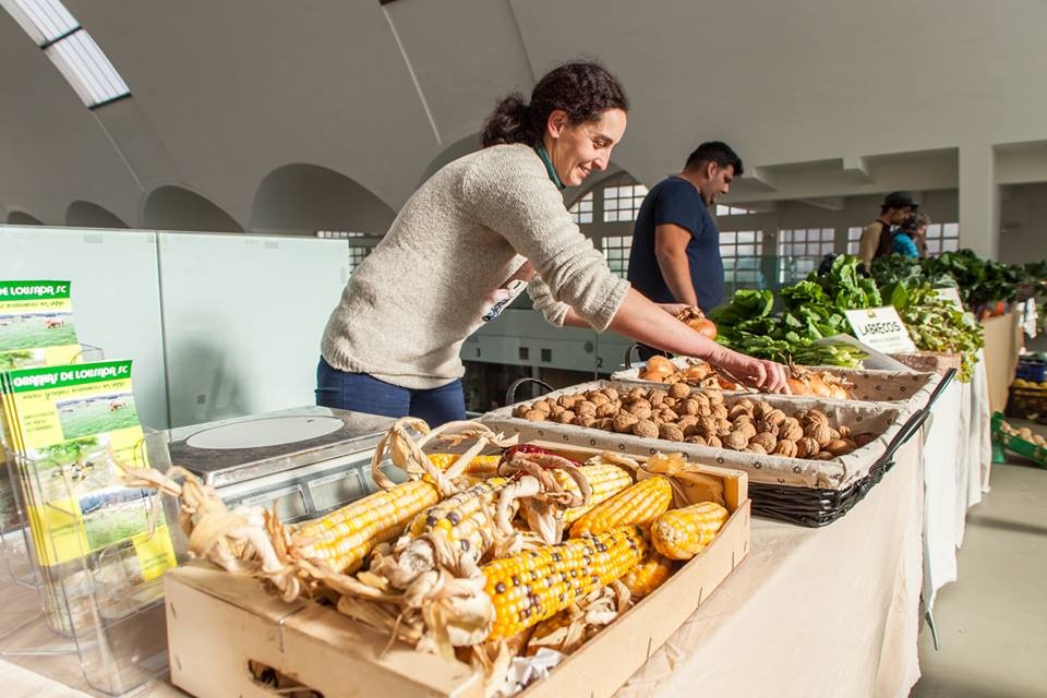 SLG_labregxs's tweet photo. @SLG_labregxs e @FrugaGaliza pedimos a apertura dos mercados de alimentos de proximidade para garantir o acceso da cidadanía a bens esenciais. Tes o noso comunicado en: https://t.co/mTyTLz08Y5
#VénaoMercado #VénáPraza #ComercioLocal #Eumercolocal https://t.co/WW6e1Sp9XO