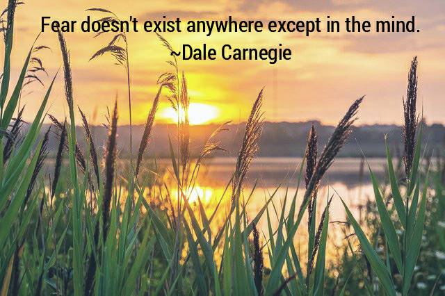 SpiritTribeUS's tweet photo. Fear doesn't exist anywhere except in the mind. ~Dale Carnegie #courage #kindness #calmyourfear https://t.co/ecM1ikoeLP